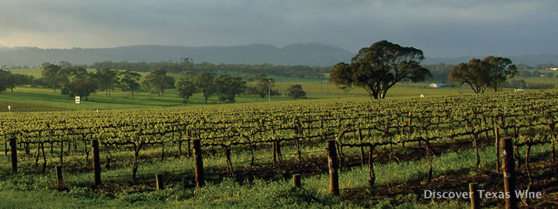 DrippingSpringsVineyards