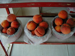 88851900_0ace3411b8_z