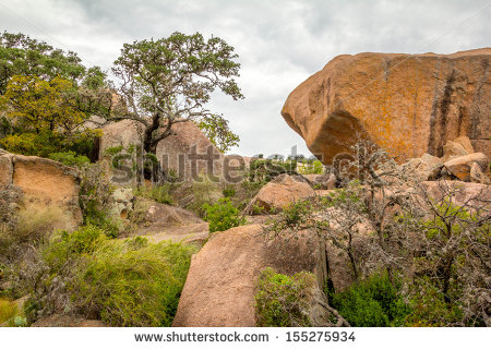 stock-photo-rocks-trees-and-brush-in-enchanted-rock-state-park-enchanted-rock-state-park-rocks-and-trees-155275934